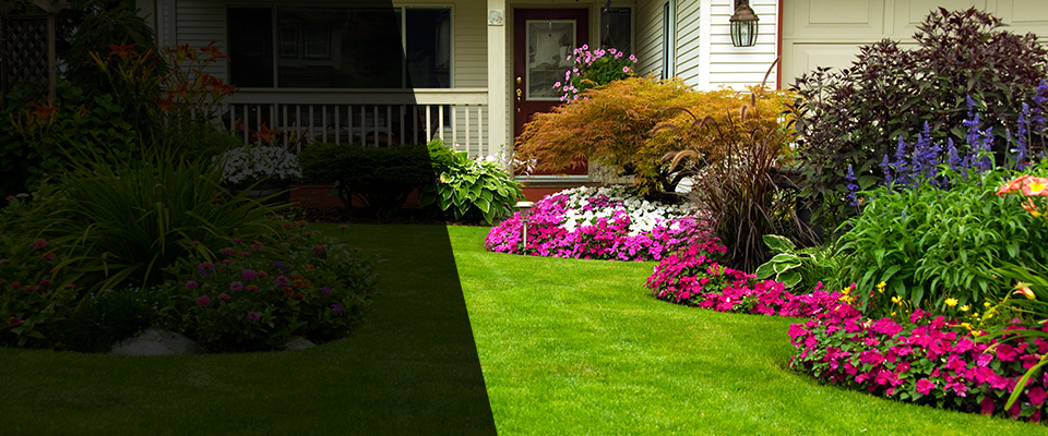Boulder Landscapers