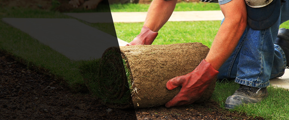 Boulder Landscapers